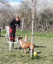 Agil'Canin 36 image 14