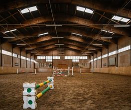 Reitsportzentrum St. Josefen AG Bild 10