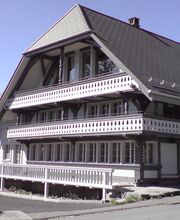 MALEREI THOMAS LOCHER Bild 4