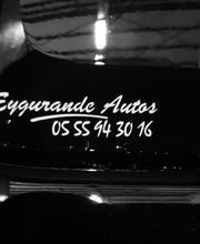 Eygurande Automobile image 5