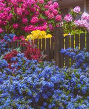 GFW - Garten - Findlinge - Wasserspiele