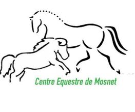 Centre Equestre de Mosnet image 3