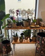 Blumen Schmid Bild 4