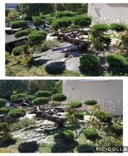 Richard Services image 8