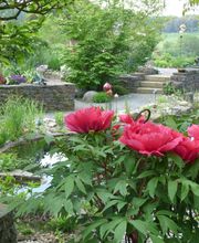 Walter Schmitz Gärten für Auge und Seele Bild 8