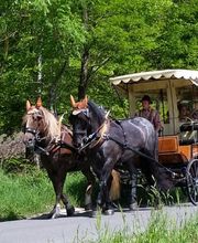 Stall Vogelsang Bild 9