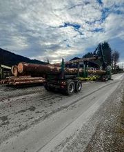 Holz Steinsdorfer GmbH & Co. KG Bild 7