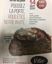 Sas Victor Premier image 3