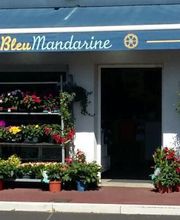 Bleu Mandarine image 12