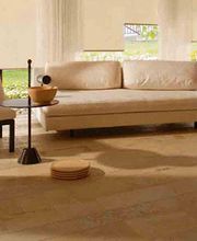 Albin Bardellini AG Bild 2