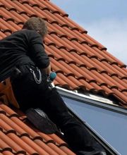 Cortes Teddy image 5