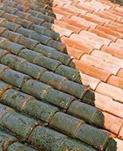 Wiss Christophe image 17