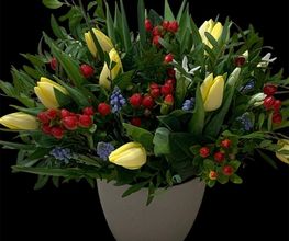 Florabella Bild 11