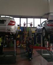Gallery Cliente
