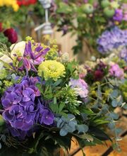 Blumen Eichenberger Horgen Bild 3