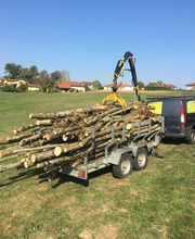 Des Racines à la Cime image 10