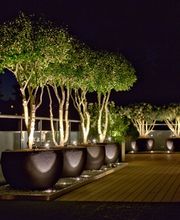 Lichtfokus AG Bild 13