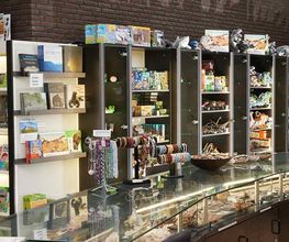 Das Urwelt-Museum Hauff bietet eine breite Palette an Büchern, Modellen, Spielen, Schmuck und Give-Aways zu den faszinierenden Themen "Urwelt", "Fossilien" und "Saurier".