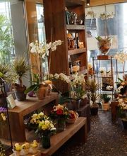 Blumen Eichenberger Horgen Bild 8