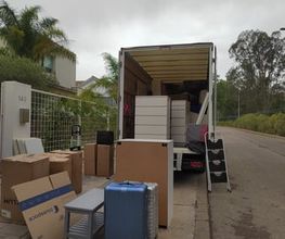 223013137-2-cUIblLYMmb1724052937366.jpeg