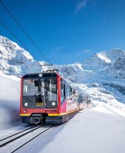 Kleine Scheidegg - Top of Hiking Bild 4