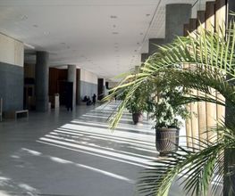 Gimalac Laurent image 3