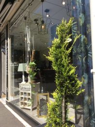 Coiffure Adam Et Eve