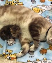 West Park Veterinary Services image 10