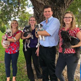 Gulf Gate Animal Hospital