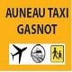 Auneau Taxi Gasnot
