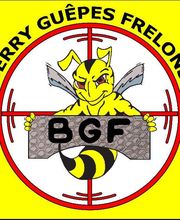 Berry Guêpes Frelons image 5