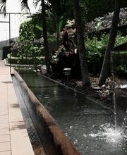 232283341-1-yTB8gJf6Ab1740678711868.jpeg