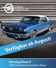 Traum-mieten Bild 14