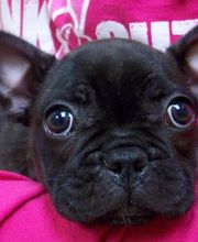 Belle Plaine Animal Hospital image 9