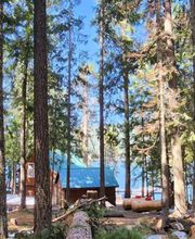 Southern Oregon Tree Care LLC image 14