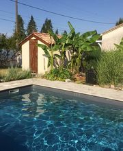 Ribera Olivier Paysages image 13