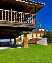 SELLACESPED imagen 9