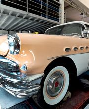 Gallery Professionale