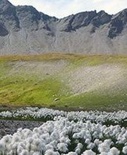 Ecotope Flore-Faune image 1