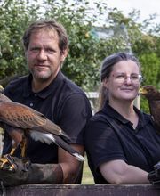Falken ultima - Falknerei und Schädlingsbekämpfung mit Alfred und Daniela Berg
