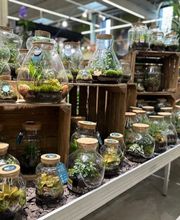 HORNBACH Gartencenter Leipzig - Alte Messe Bild 10