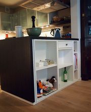 Holzwurm-Reger Bild 2