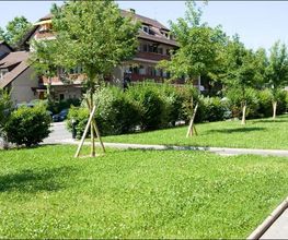Atelier Vert SA Bild 3