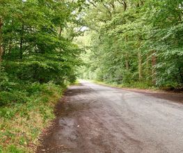 FriedWald Bremer Schweiz Bild 9