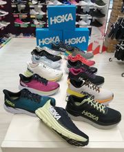 Gallery Professionale