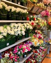 Bricomarché Gattieres image 5