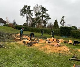 DULLA PARCS ET JARDINS SA Bild 7