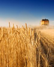 Agrargesellschaft Ruppendorf AG Bild 3