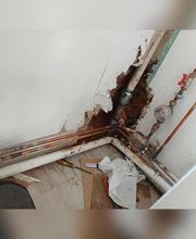 EI Geloen David image 12