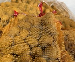 Les Frutamines image 14